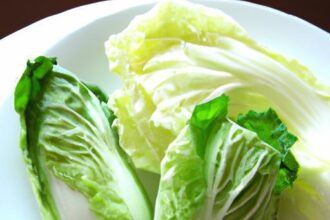 Delicious Napa Cabbage Recipes to Elevate Your Meals
