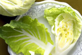 Napa Cabbage Wonders: Tasty Recipes to Try Today