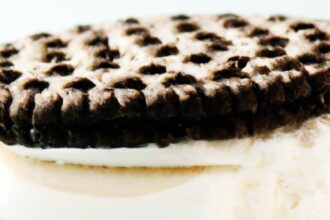 Irresistible Oreo Ice Cream Sandwich Recipe to Try Today