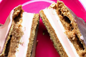 Discovering the Delight: The Fatboy Ice Cream Sandwich Experience